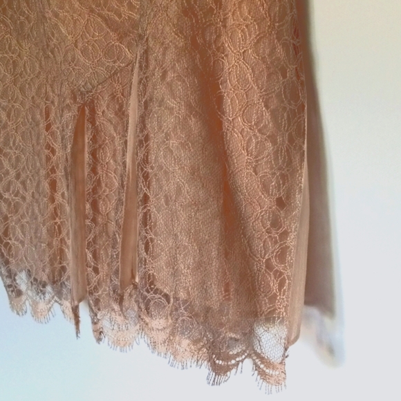 SILK Pleats LACE OVERLAY SKIRT Regency ROYALTY Edwardrdian Petite 10 - Picture 6 of 9